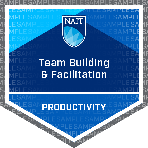 Team Building and Facilitation Badge