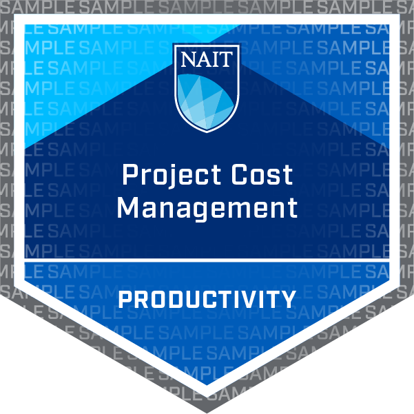 Project Cost Management Badge