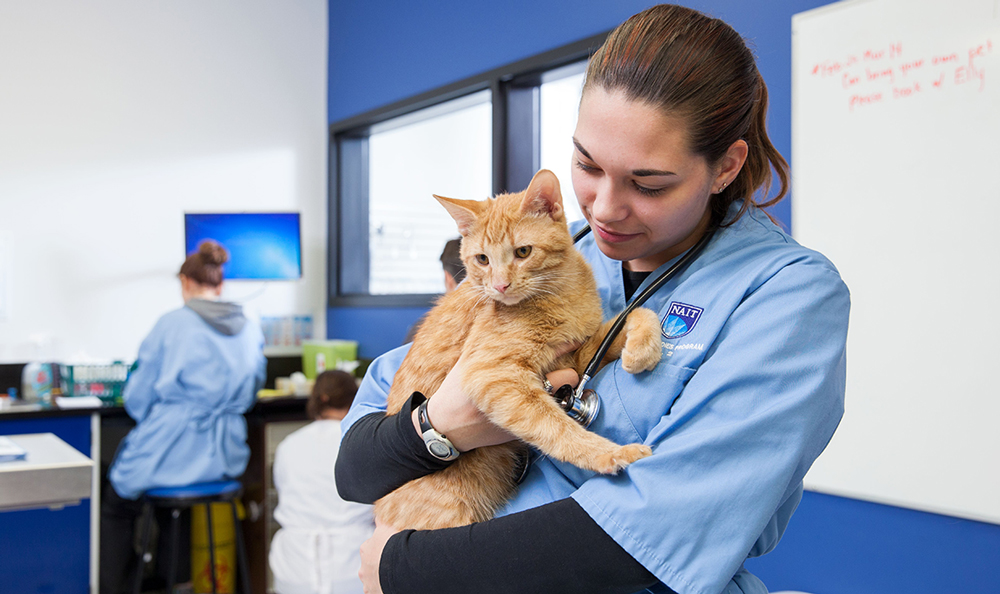 Animal Health Student with a cat