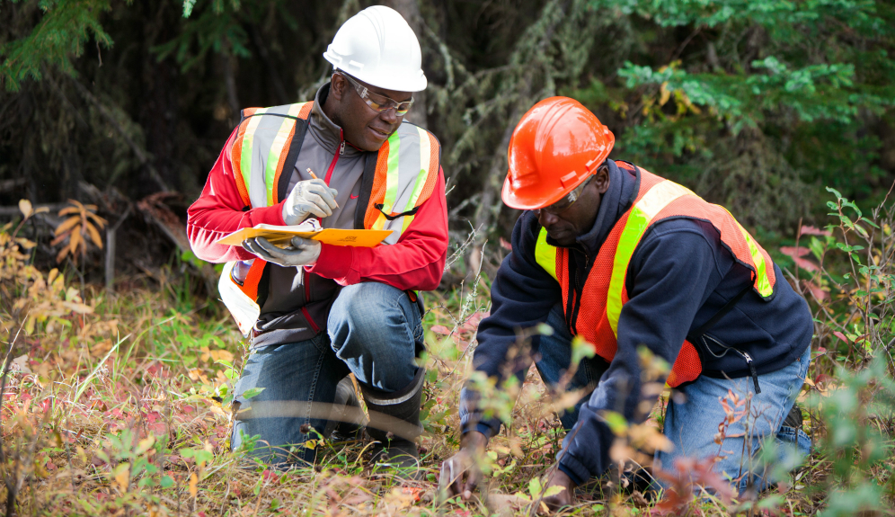 Company with deep Alberta roots invests in future of forestry