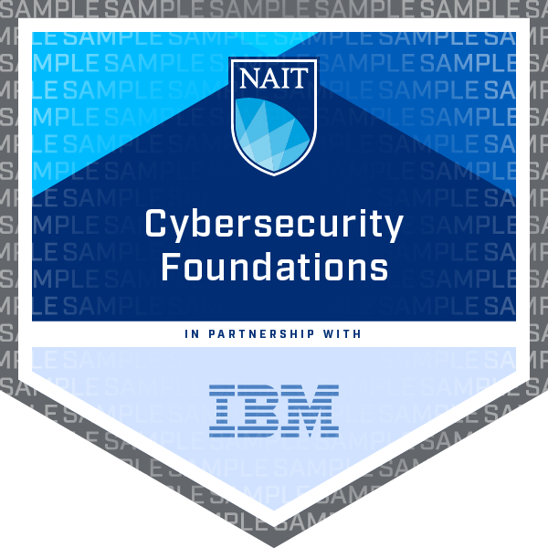Cybersecurity Foundations Micro-Credential Badge