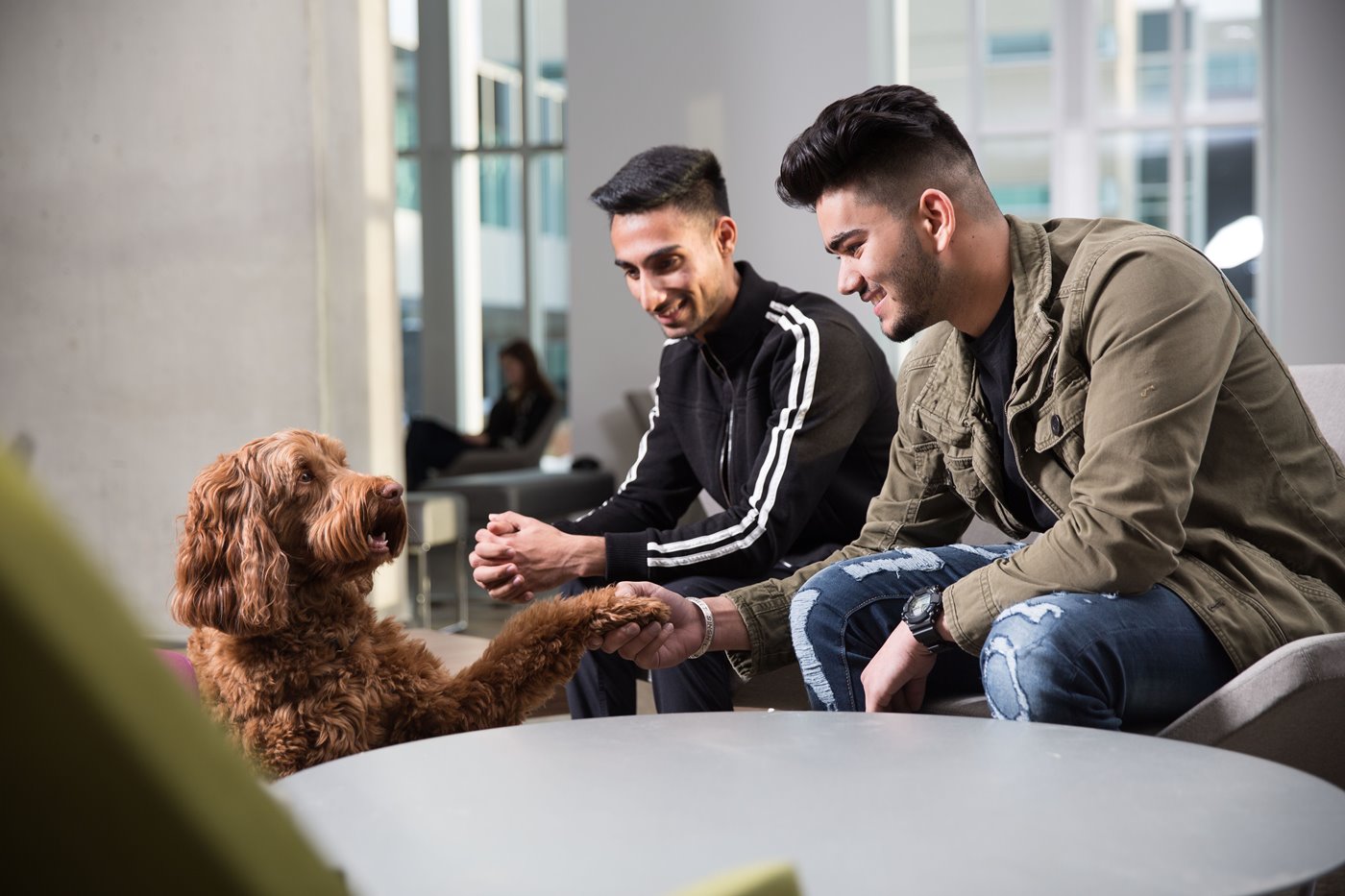 Therapy dogs have a PAWS-itive effect on students