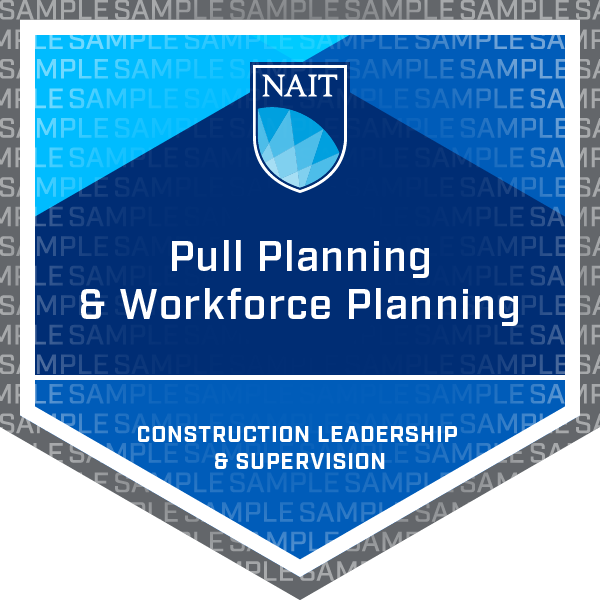 Pull Planning and Workforce Planning Micro-Credential Badge